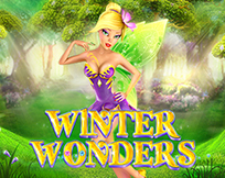 Winter Wonders